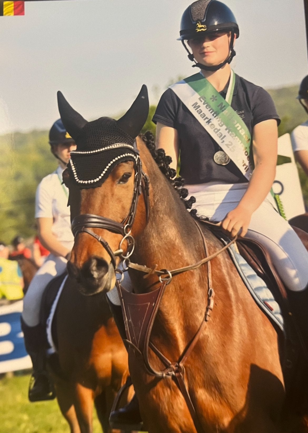 Super brave en knappe D pony te koop, Dieren en Toebehoren, Pony's, Ruin, L, D pony (1.37m tot 1.48m), 11 jaar of ouder, Met stamboom