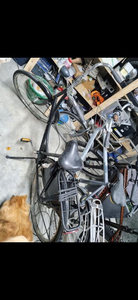 Fiets, Fietsen en Brommers, Fietsen | Dames | Damesfietsen, Ophalen, Gebruikt