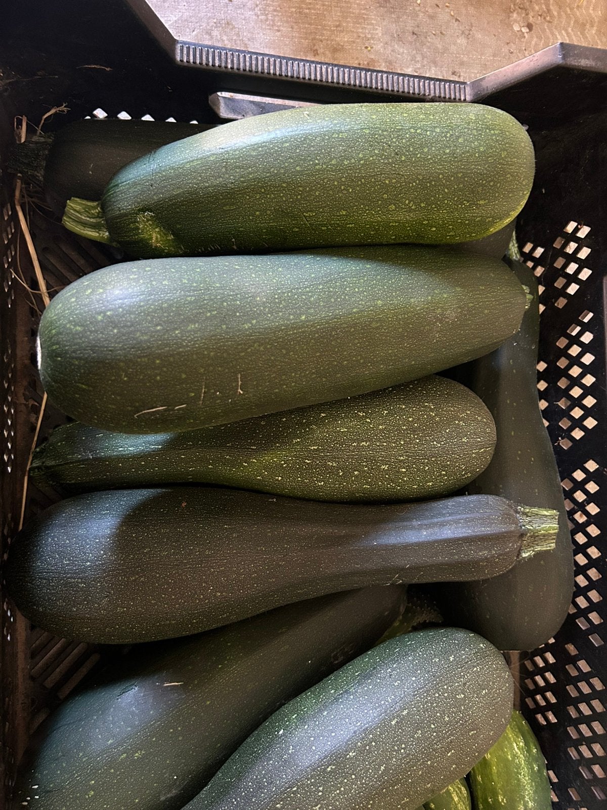 Verse courgette, Enlèvement