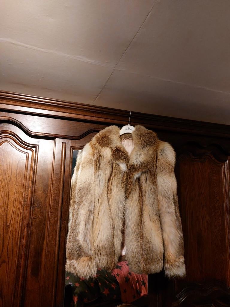Wolf jas, Kleding | Dames, Jassen | Winter, Ophalen