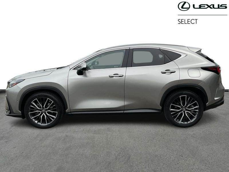 Lexus NX PHEV AWD Privilege | 360 | head up, Autos, Lexus, Achat, 2487 cm³, Autres couleurs, Noir