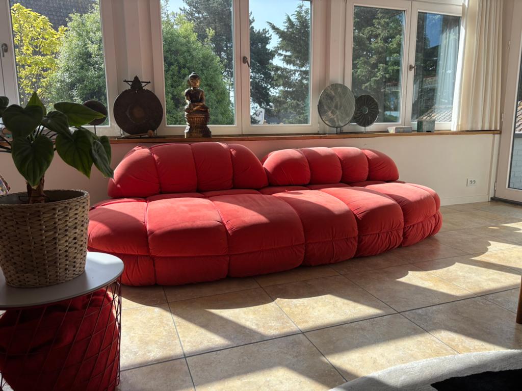 Rode organische sofa, 100 à 125 cm, 250 à 300 cm, Quatre personnes ou plus, Banc droit