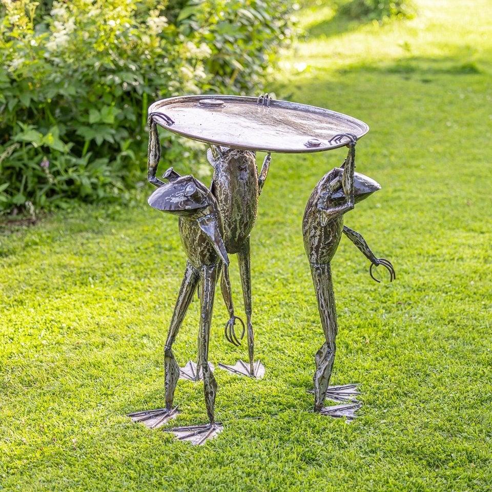 table avec grenouilles - Mooievogels, Animaux & Accessoires, Animaux Autre, Octobre, Sexe inconnu