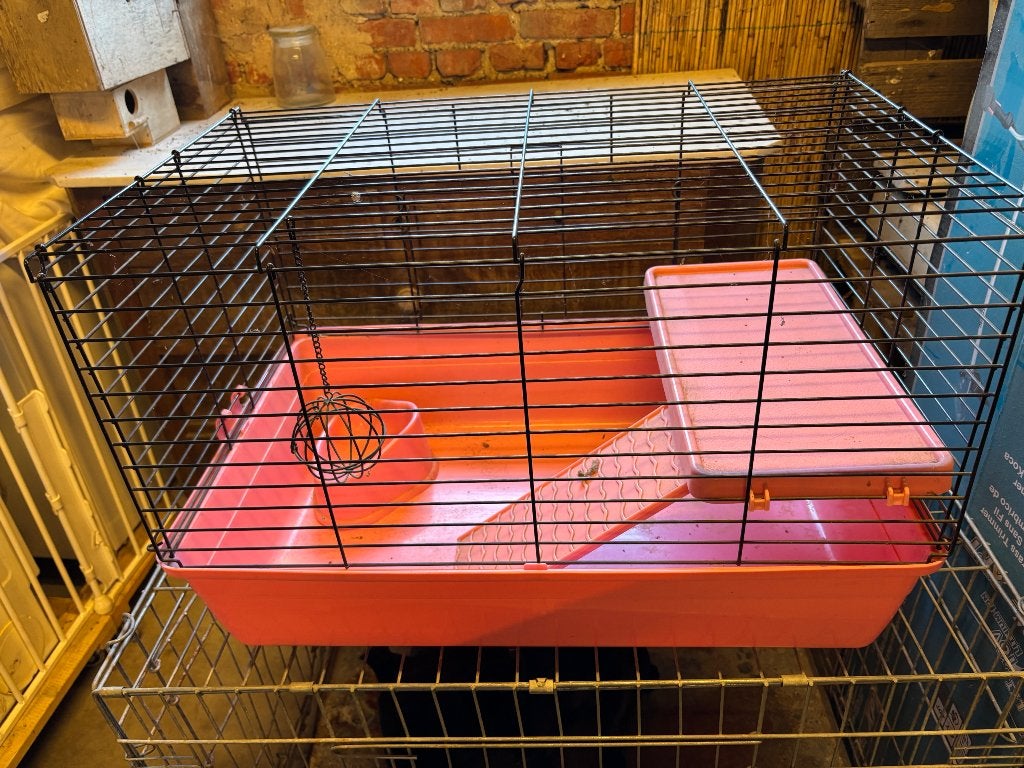 Konijnenkooi, Rat, Kooi, Gebruikt, Minder dan 75 cm