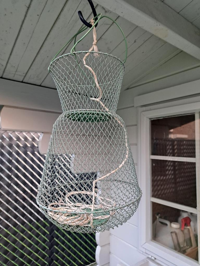 Leefnet voor paling, Enlèvement