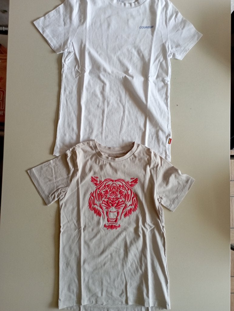 4 T-shirts maat 146/152, Enfants & Bébés, Vêtements enfant | Taille 146, Enlèvement ou Envoi, Comme neuf, Chemise ou À manches longues