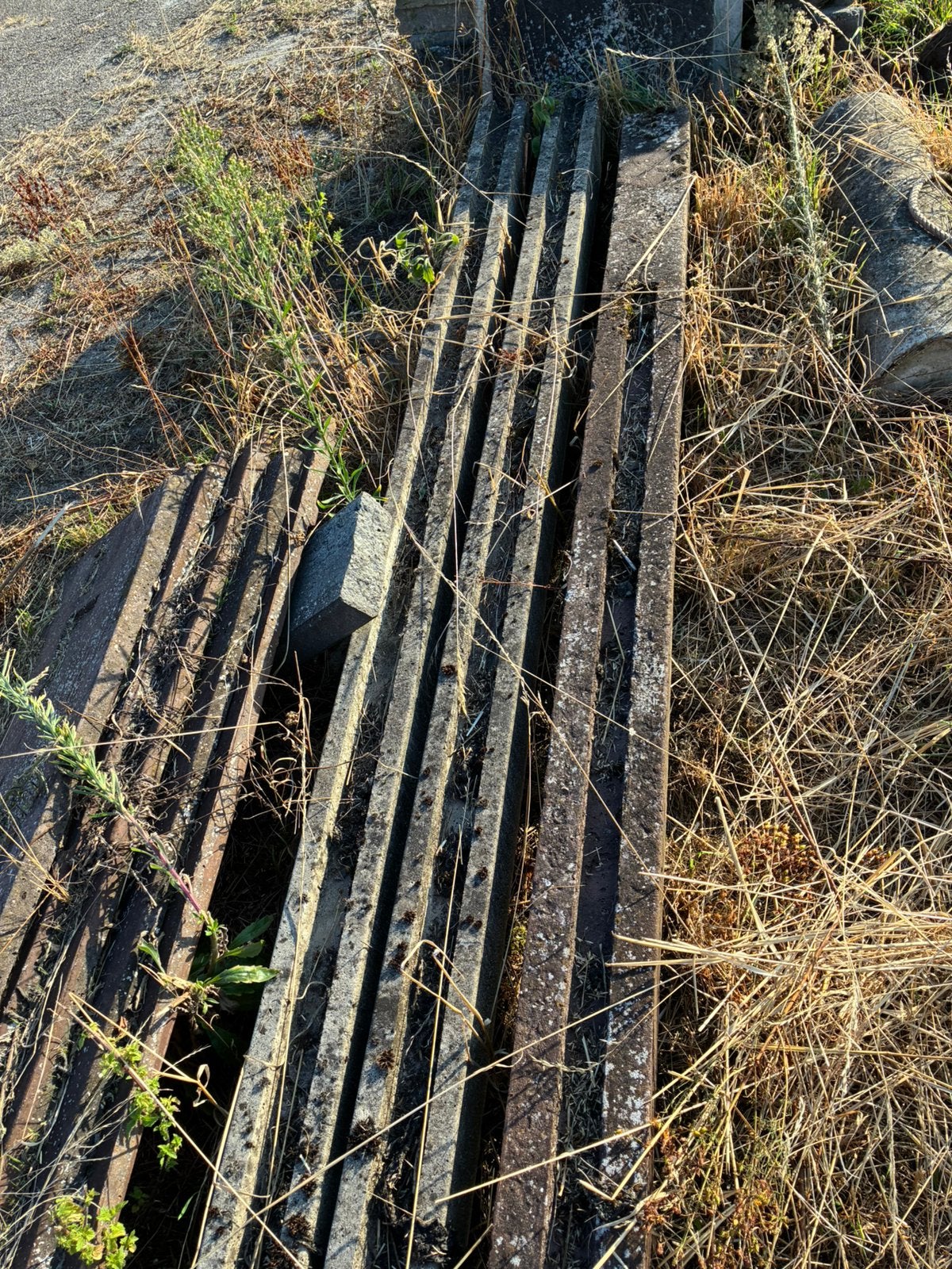 Betonnen palen, Ophalen, Gebruikt, 250 cm of meer, Balken