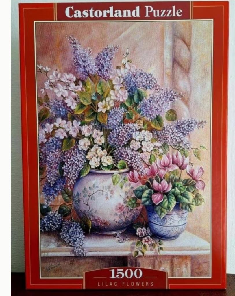 Puzzel Castorland volledig kompleet, eenmaal gelegd, zgan, Ophalen of Verzenden, 500 t/m 1500 stukjes, Zo goed als nieuw, Legpuzzel