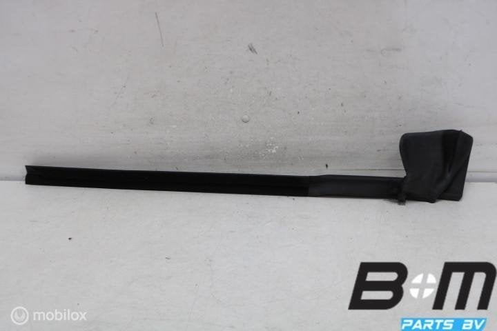 Ruitschachtafdichting links VW T-Roc FL Cabrio 2GC839479B, Gebruikt