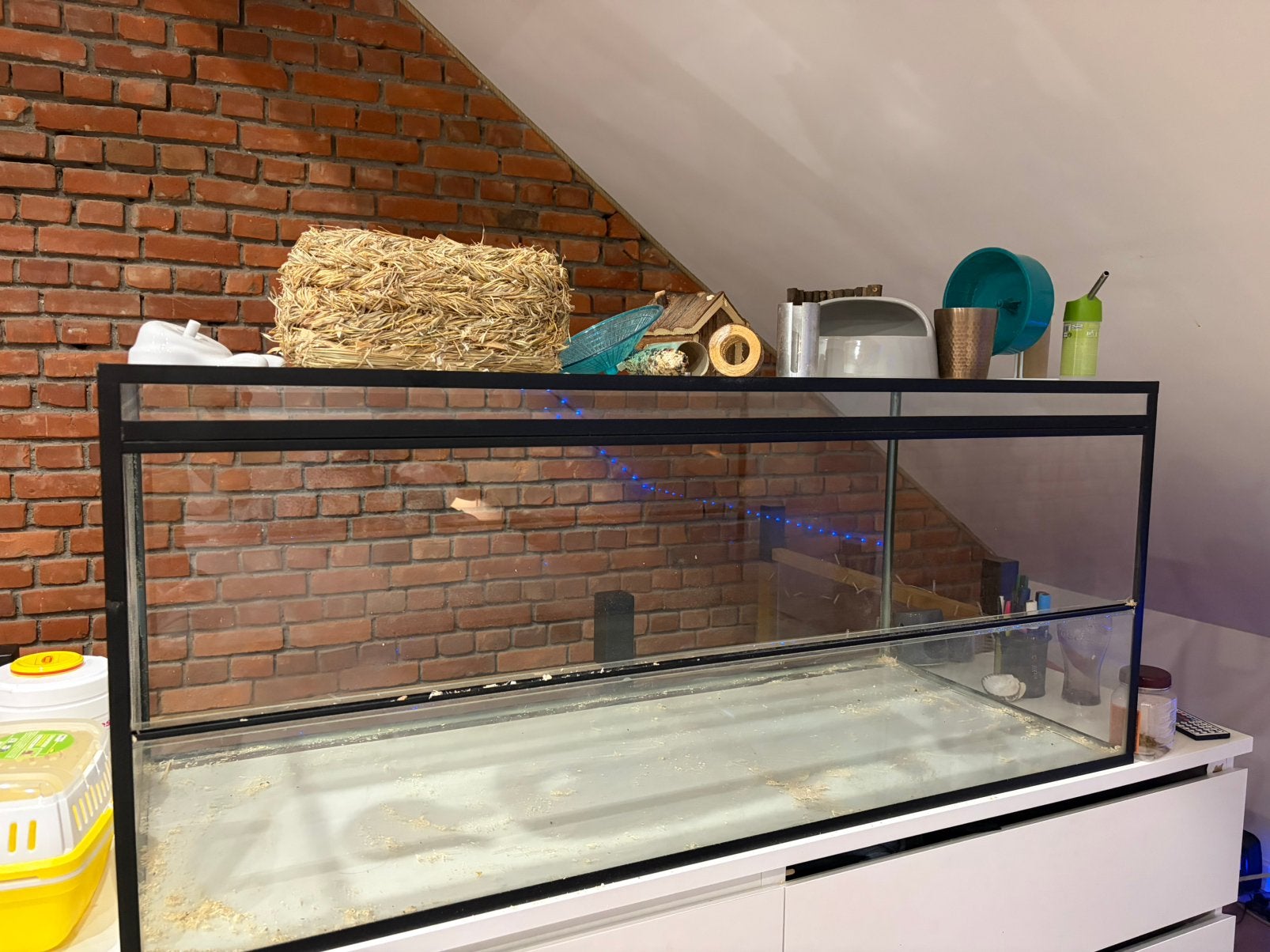 Cage pour hamsters, Animaux & Accessoires, Enlèvement, Comme neuf, Cage, Hamster