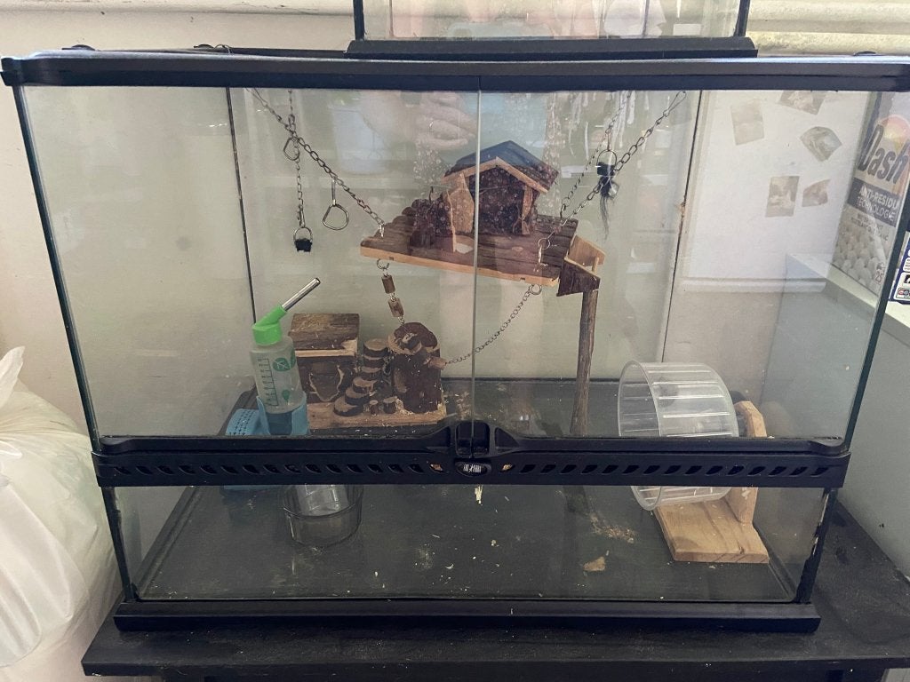 Terrarium, Dieren en Toebehoren, Ophalen, Zo goed als nieuw, Terrarium of Paludarium