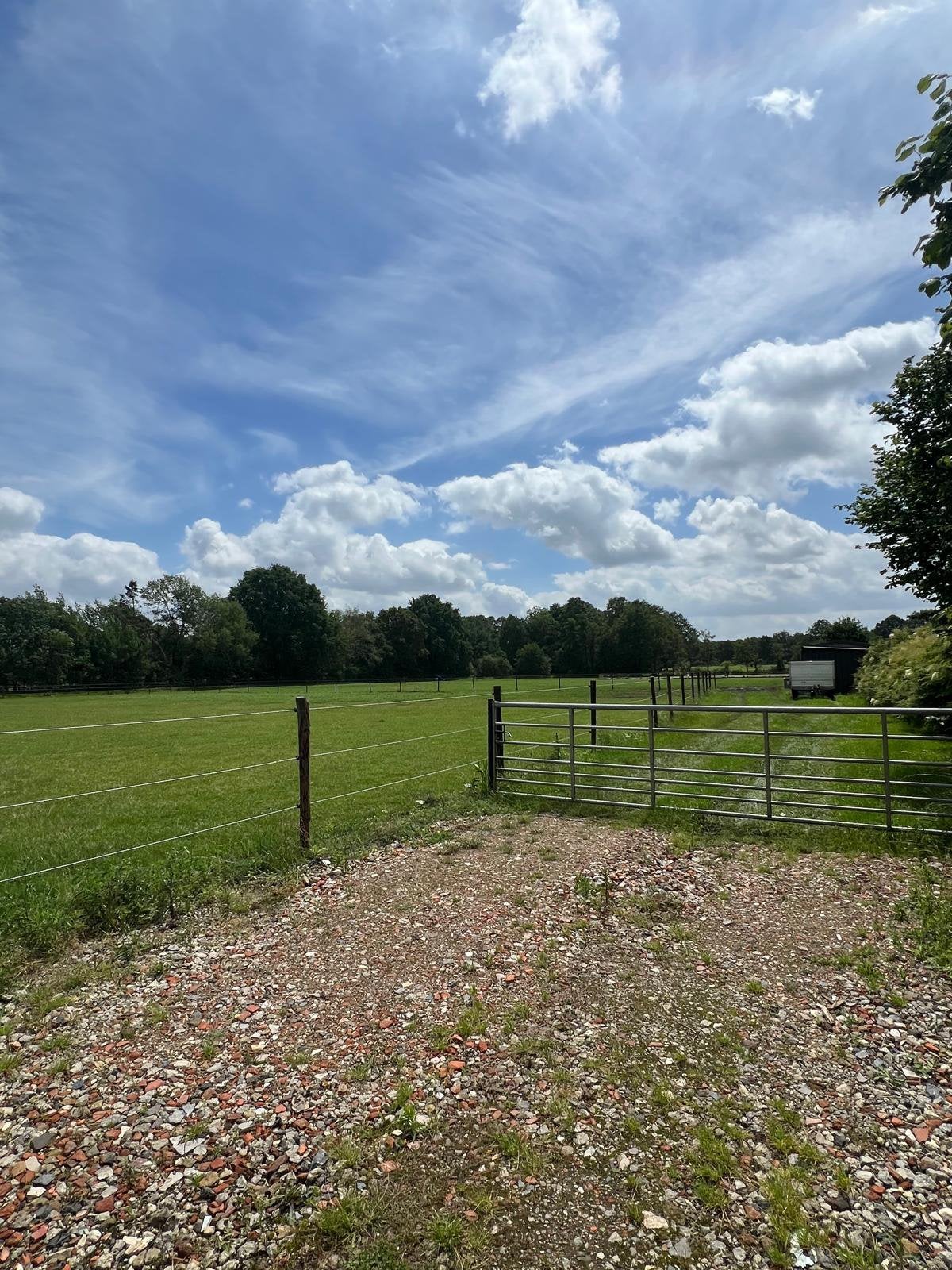 paardenweide met rijpiste op 1 ha 46 a – Tessenderlo, Immo, Verkoop zonder makelaar, 1500 m² of meer