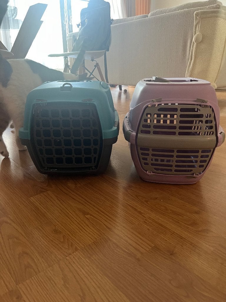 Cages pour petits chats/chiens, Enlèvement, Comme neuf