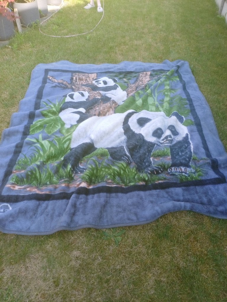 Panda deken, Ophalen, Zo goed als nieuw, 100 cm of meer, Deken