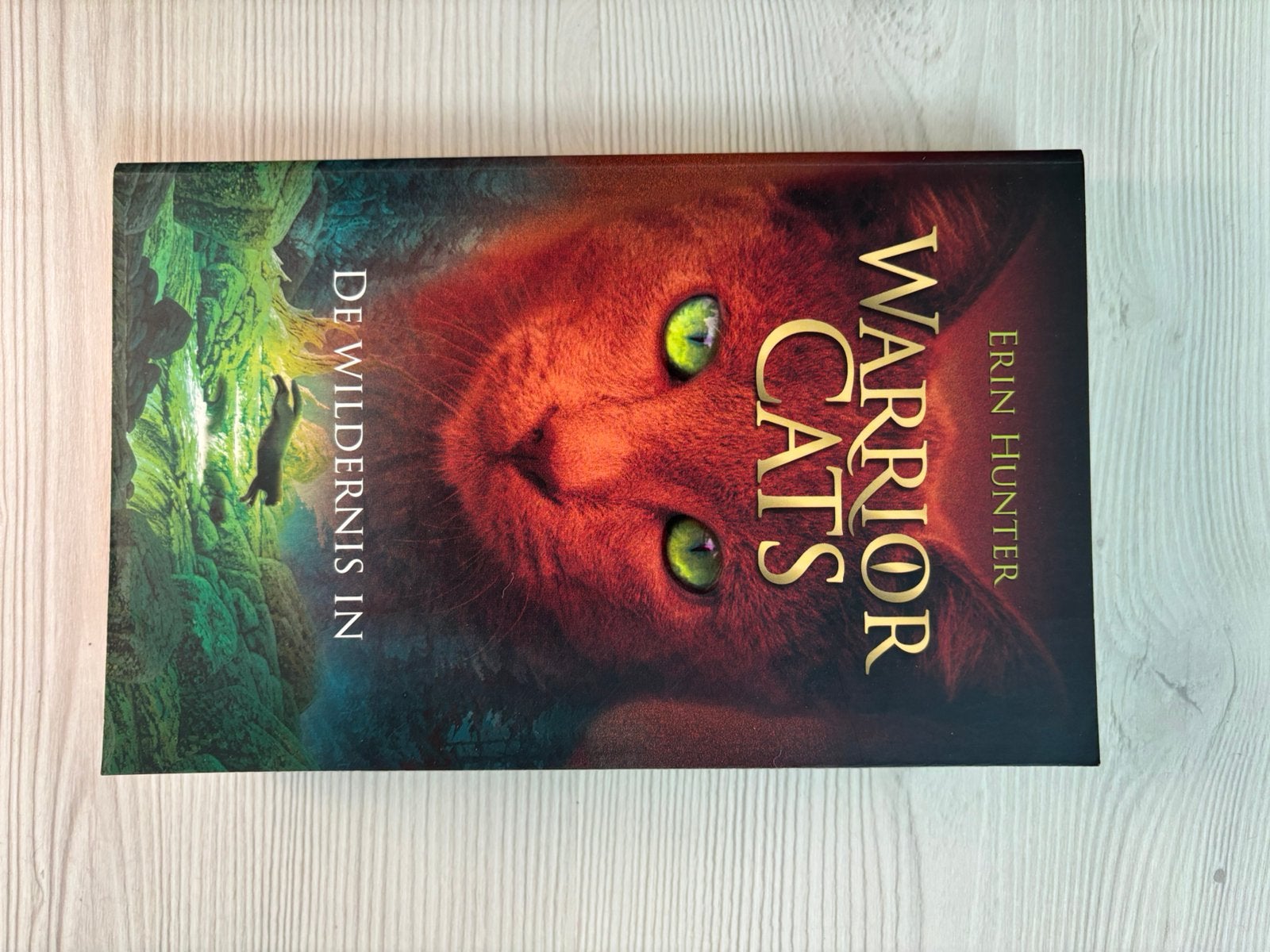 Erin Hunter - De wildernis in, Boeken, Ophalen, Erin Hunter
