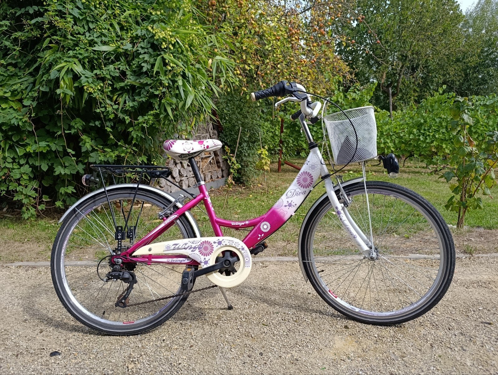 Zing Diva meisjesfiets, Ophalen, Terugtraprem, 24 inch, Zing