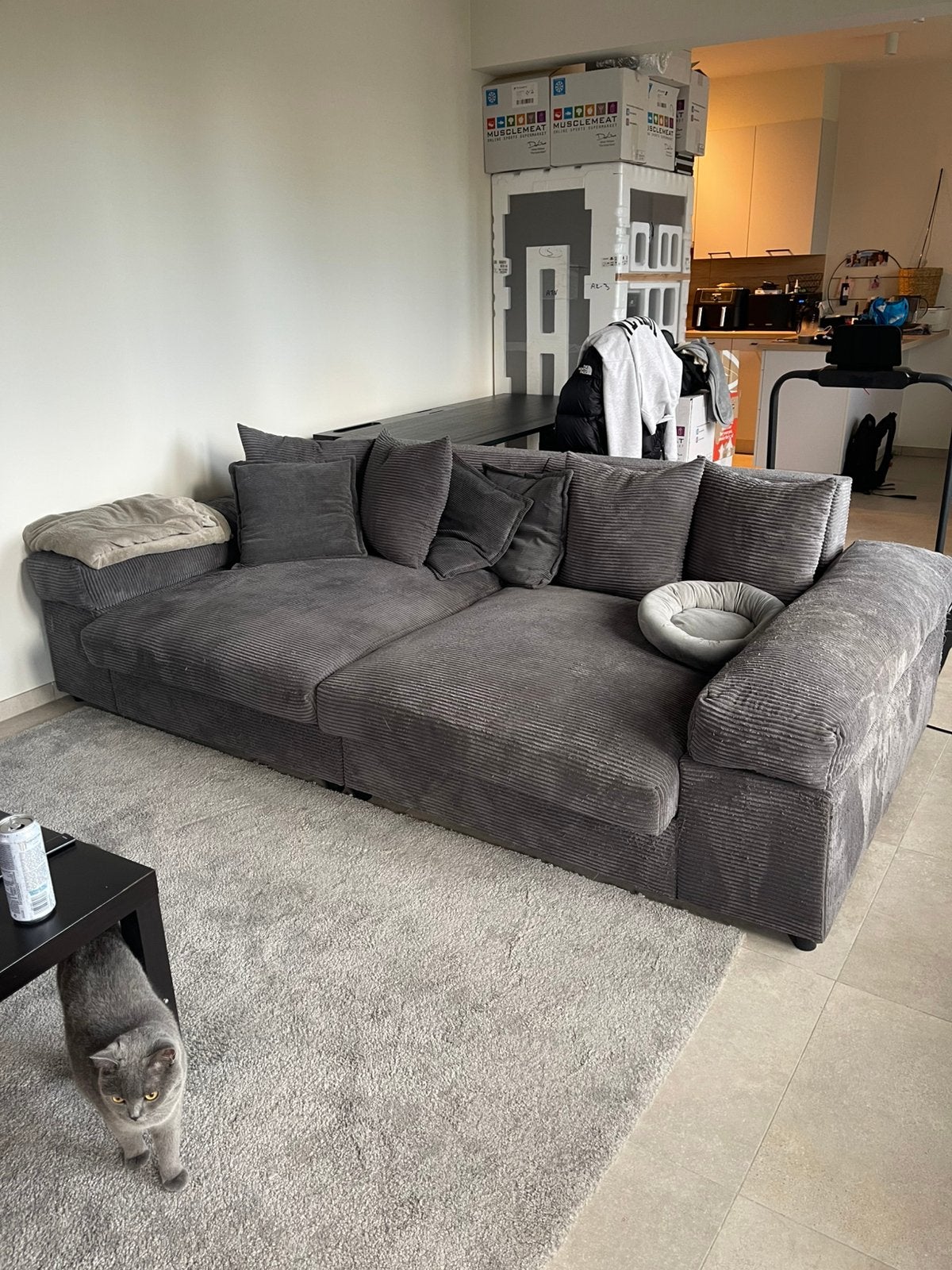Zetel Fatguy donkergrijs ribstof, Enlèvement, Utilisé, Tissus