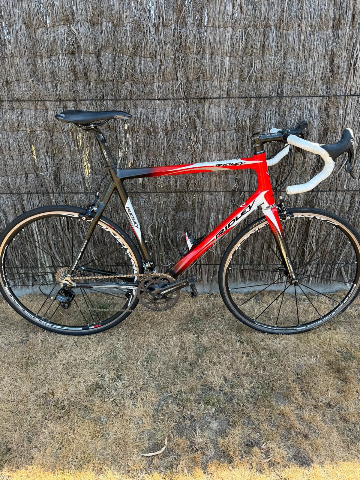 Carbon koersfiets ridley, Fietsen en Brommers, Ophalen, Zo goed als nieuw, Carbon