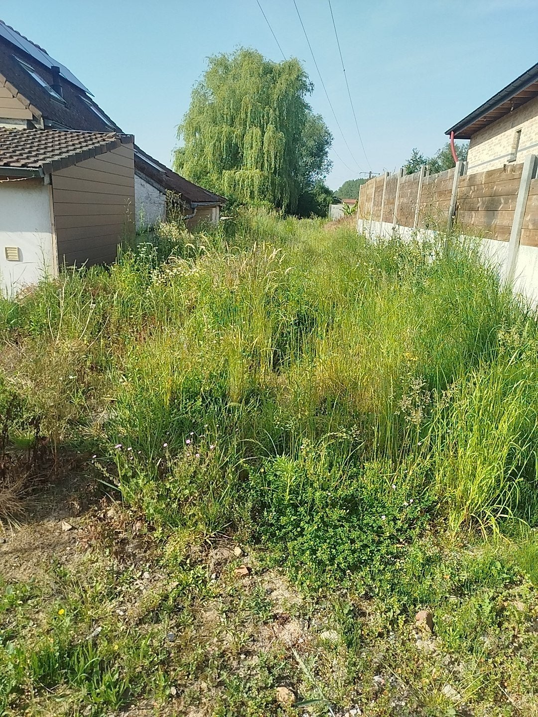 Démolition, entretien jardin, démontage, Jardin & Terrasse, Enlèvement