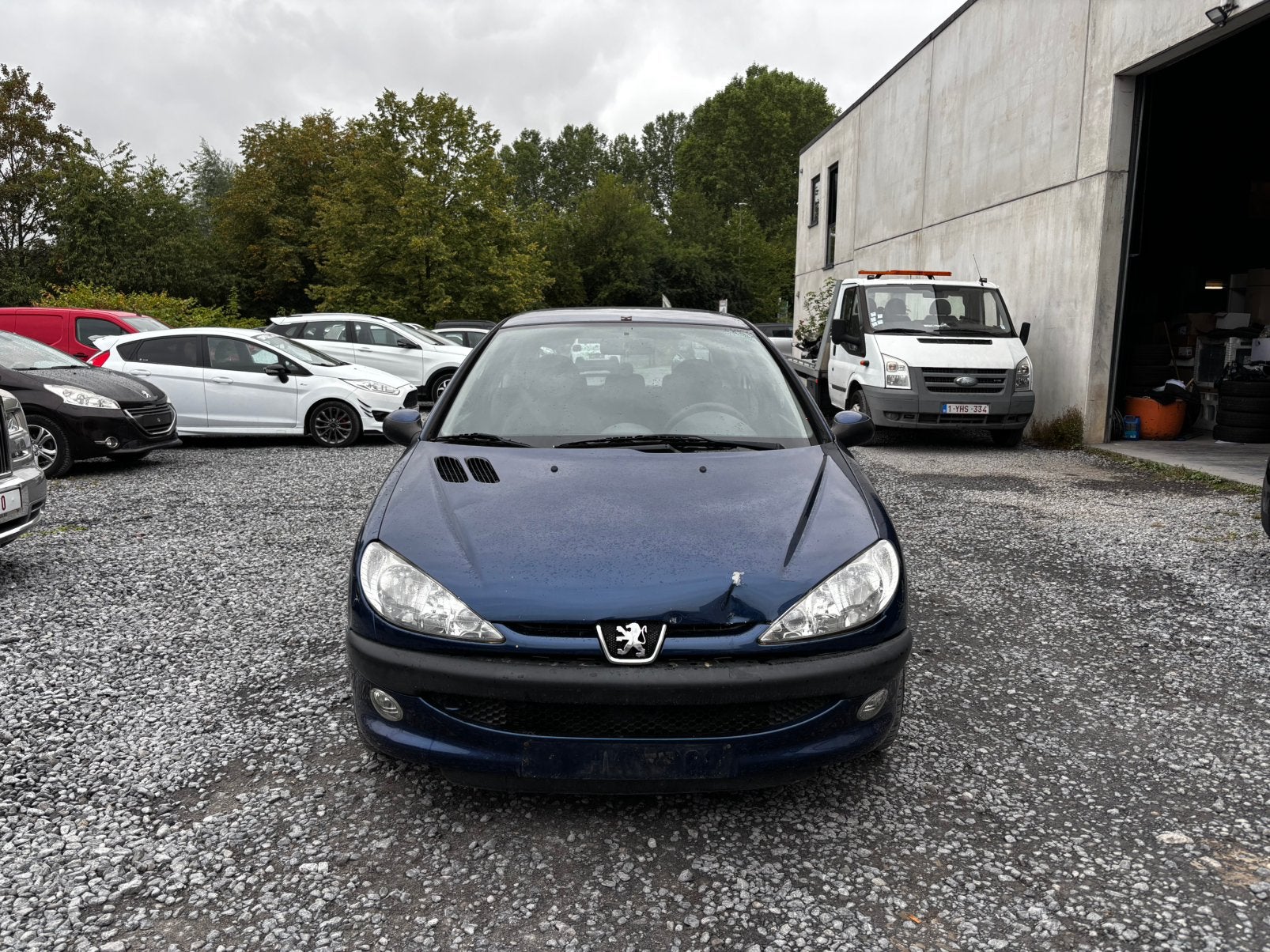 Peugeot 206, Autos, Achat, Entreprise, Vert
