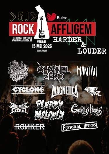 2 tickets voor het Affligem festival op 15 mei, Twee personen