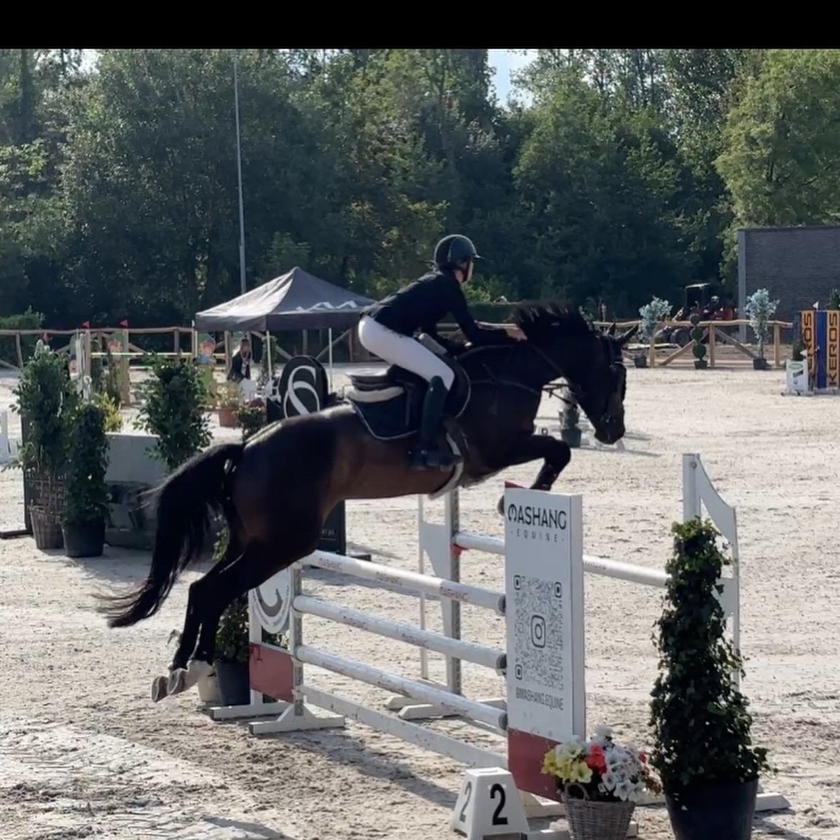Ruiter aangeboden