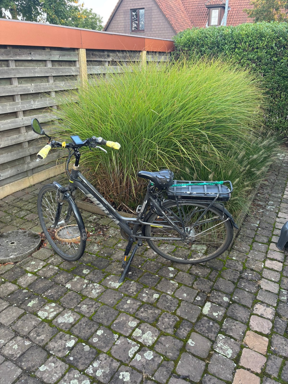 Elektrische fiets, Fietsen en Brommers, Ophalen, Gebruikt, 50 km per accu of meer, Overige merken