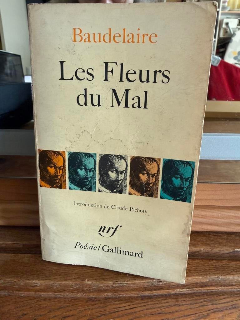 Mes Fleurs du Mal, Enlèvement ou Envoi, Comme neuf, Autres sujets/thèmes, Autres types
