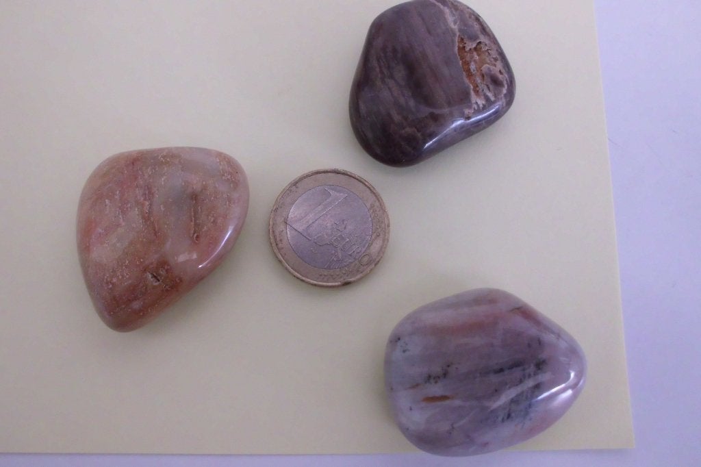 KNUFFELSTENEN VERSTEEND HOUT - 12 V 10 €, Verzamelen, Mineralen en Fossielen, Ophalen of Verzenden