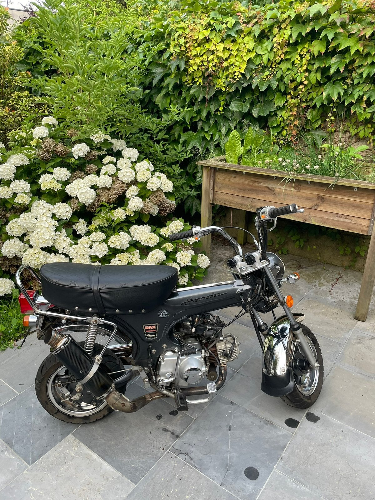zenhua dax B klasse