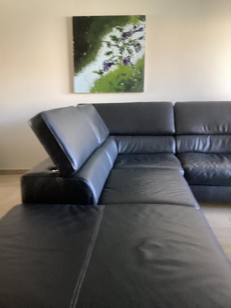 Lederen salon, Ophalen, Gebruikt, Leer
