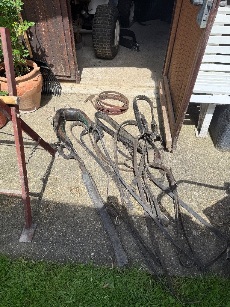 Trekhaak, Gebruikt, Overige typen, Paard of Pony