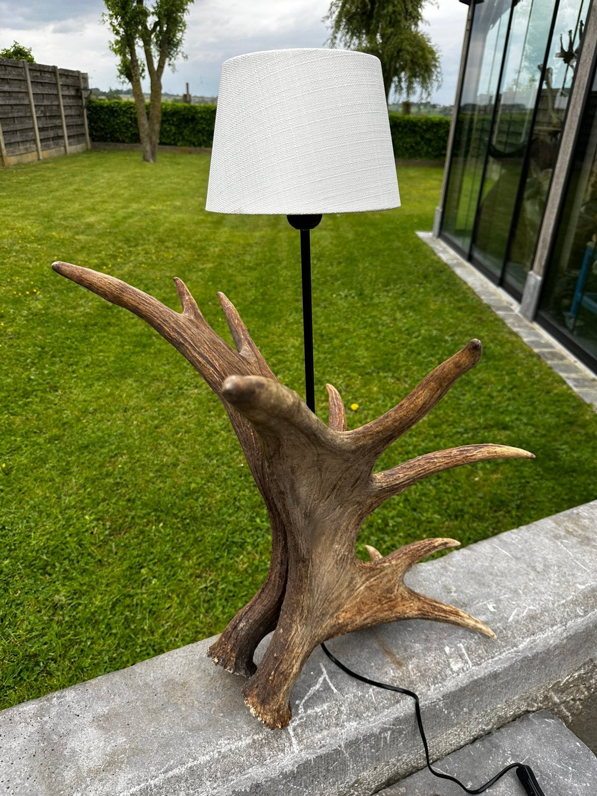 Eland geweien gemaakt in lamp, Ophalen