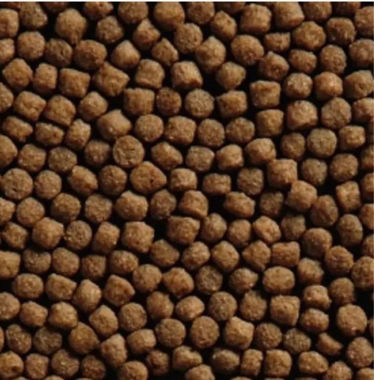 Koivoer Premium Grower 3/6mm ACTIE prijzen, Dieren en Toebehoren, Vissen | Vijvervissen, Karper of Koi