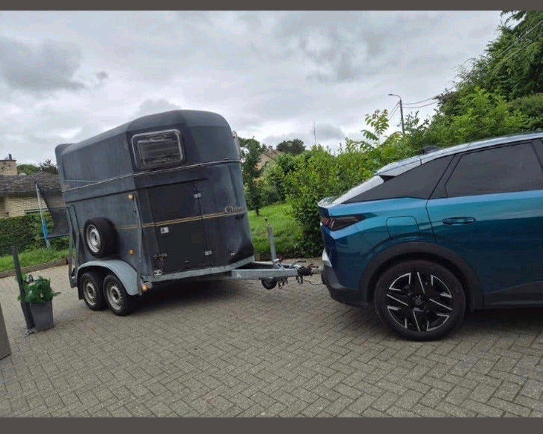 PaardenTrailer 2 paarden, Dieren en Toebehoren, Ophalen, Zo goed als nieuw, Polyester, 2-paards trailer