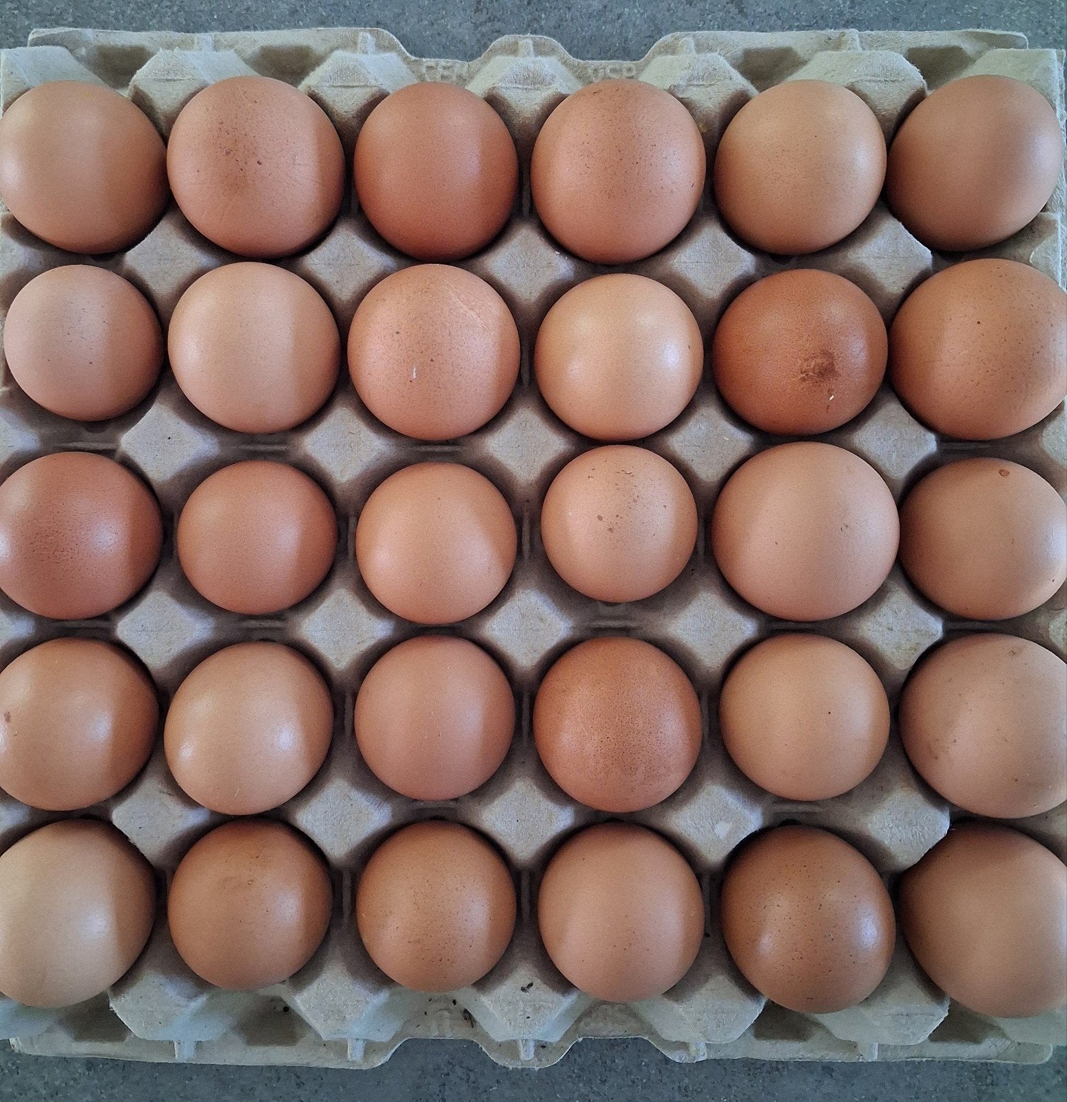 Broedeieren, maran hanen tarwekleur met harco,  legkippen, Dieren en Toebehoren, Pluimvee
