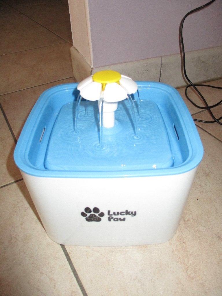 fontein voor kat  GERESERVEERD, Dieren en Toebehoren, Overige Dieren-accessoires, Ophalen of Verzenden, Gebruikt