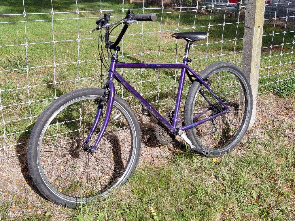 Custom paarse Wheeliebike met Schwalbe Big Apple banden, Gebruikt, Minder dan 49 cm, Trommelrem, Ophalen