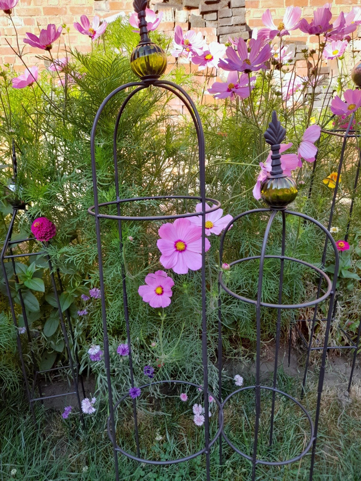 Plantensteun, Tuin en Terras, Ophalen