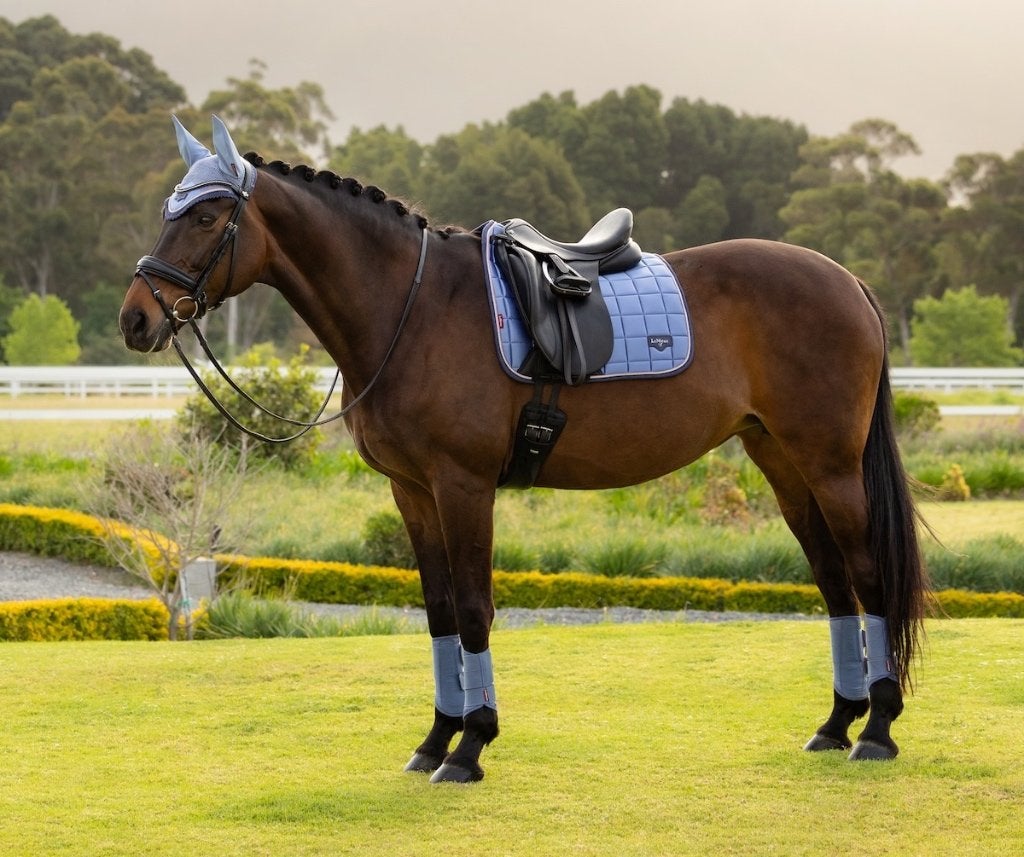 LeMieux Loire Powder Blue dressuur dekje Full SALE!, Full (L), Dressuurdekje, Ophalen of Verzenden, UV-werend