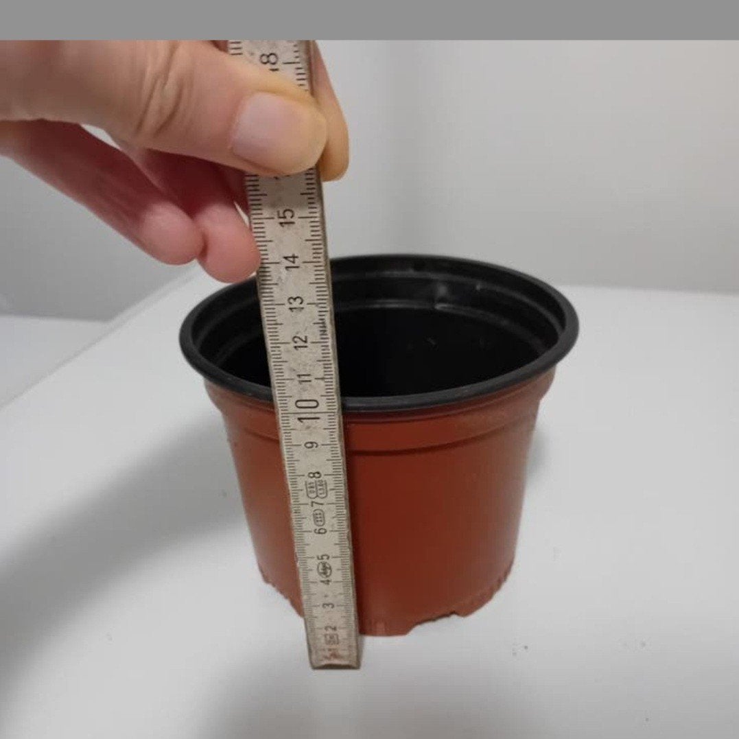 100 pots de fleur