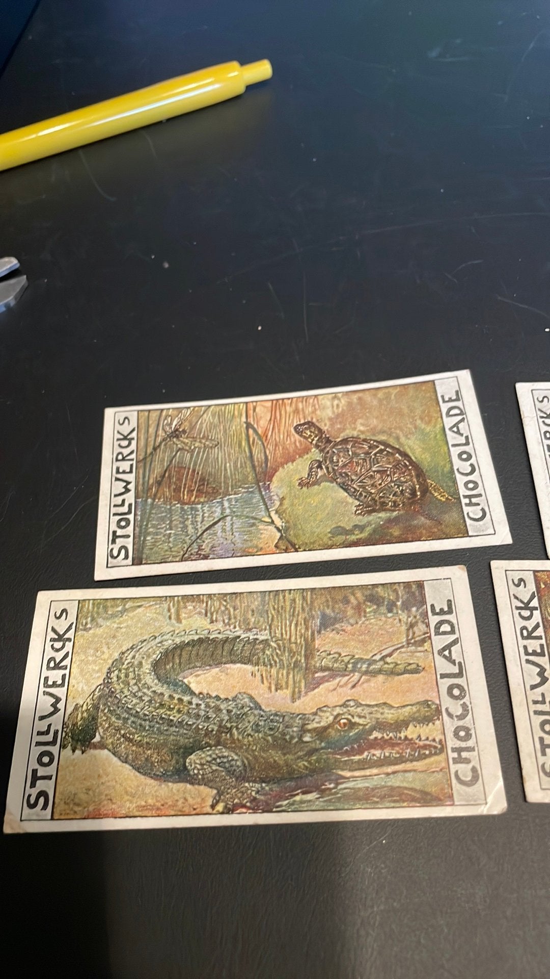 Stollwerck chromo reeks 33(x3a), Verzamelen, Gebruikt, Ophalen of Verzenden, 1940 tot 1960, Dier