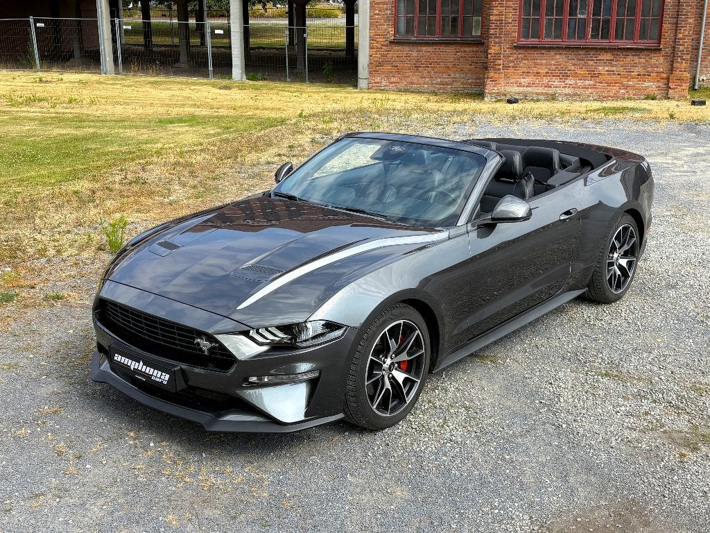 Ford Mustang Cabrio 55y Edition      Pure. Liberté. Passion., Autos, Cuir, Argent ou Gris, Achat, Euro 6