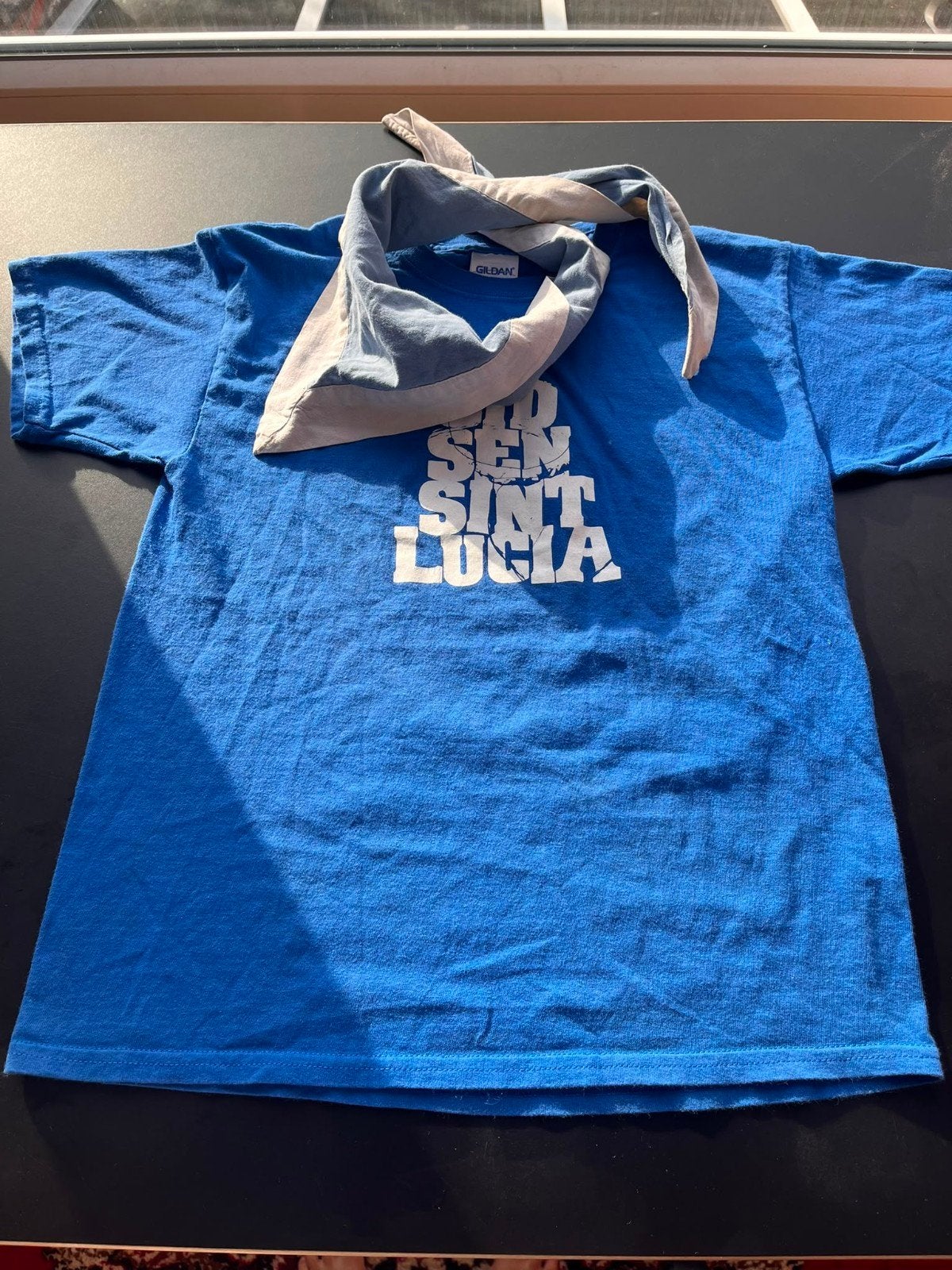 Officiële gidsenset (groeps T-shirt + das) van Gidsen Sint-L, Kleding | Dames, Ophalen of Verzenden, Zo goed als nieuw, Blauw