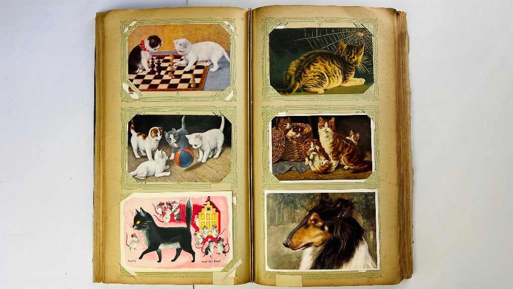 Charmante verzameling vintage kaarten KATTEN & HONDEN, 1960s, Verzamelen, Postkaarten | Dieren, Ophalen of Verzenden, 1940 tot 1960
