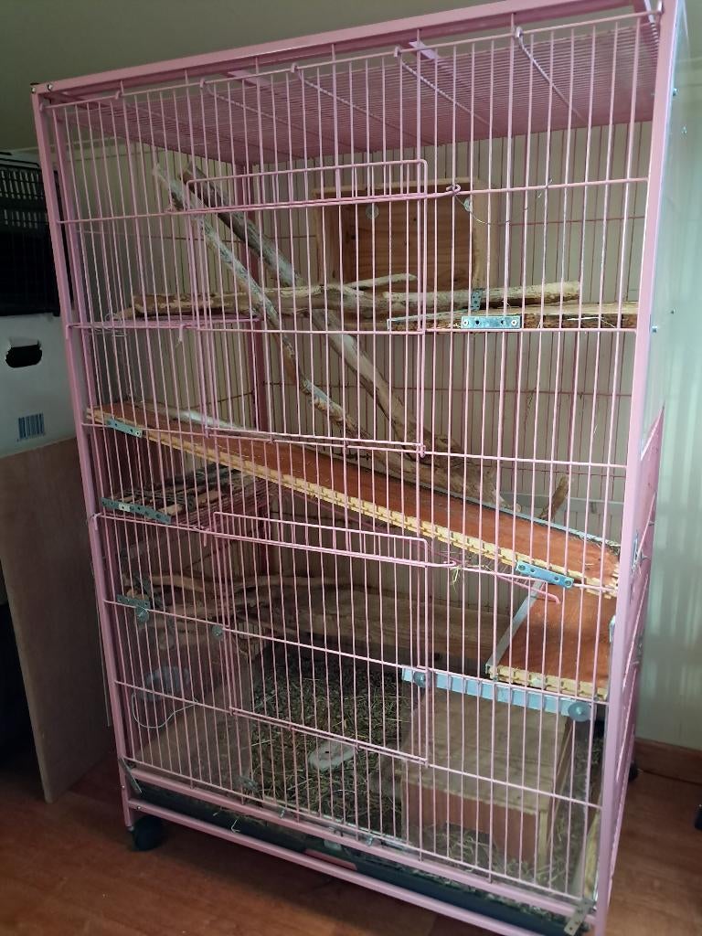 materiaal voor chinchilla, Ophalen, Gebruikt, Kooi, Hamster