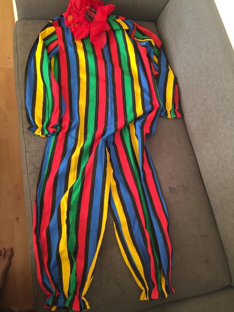 Clowns kostuum, Ophalen of Verzenden, Zo goed als nieuw, Overige maten, Kleding