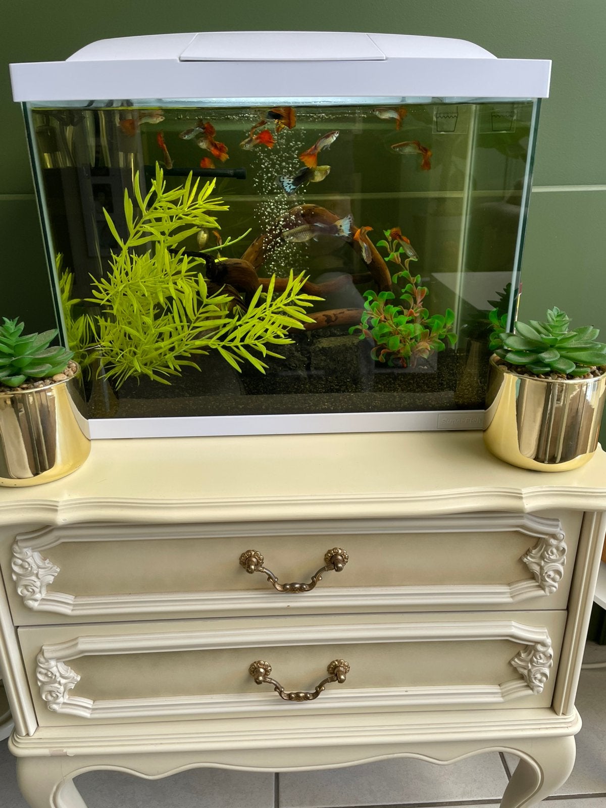 Aquarium super fish start 50, Dieren en Toebehoren, Vissen | Aquaria en Toebehoren, Ophalen, Superfish, Inclusief toebehoren, Gevuld zoetwateraquarium