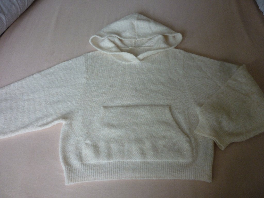 Polyamide-Wollen-Baby Alpaca Trui met Kap American Vintage, Kleding | Dames, Overige kleuren, Ophalen of Verzenden, Zo goed als nieuw