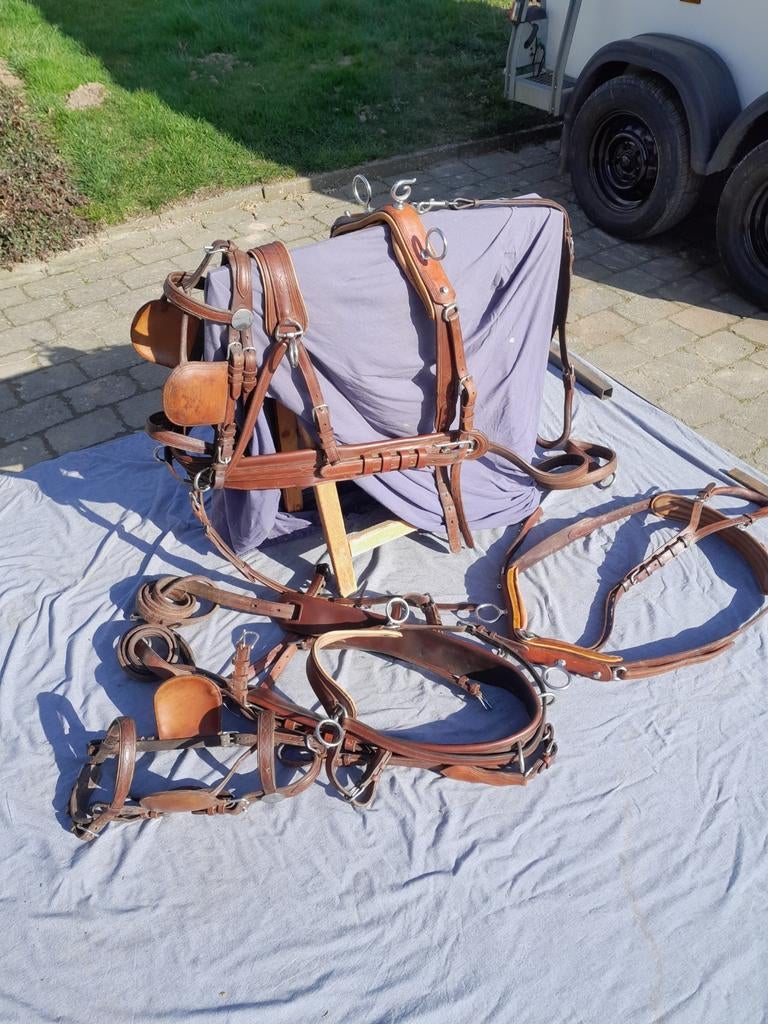 Lederen 2-span tuig D-pony, Dieren en Toebehoren, Ophalen, Dressuur